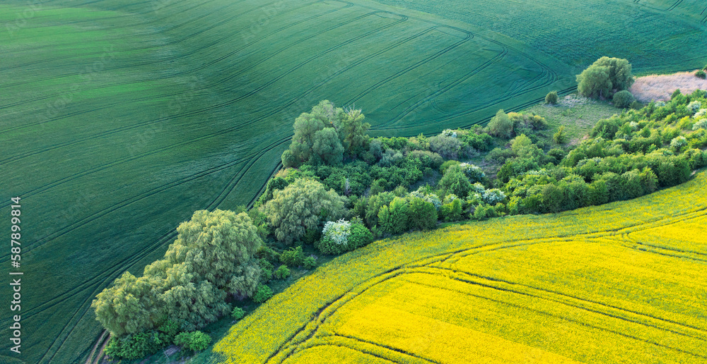 Captivating Drone Image of Canola and Wheat Fields