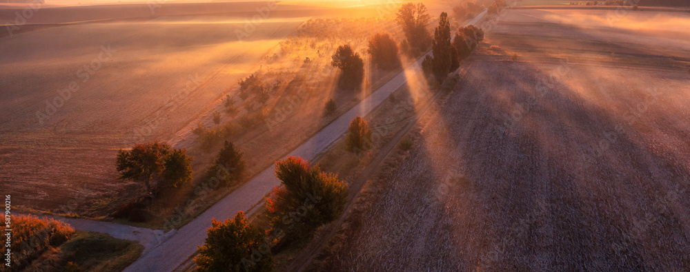 Foggy Drive: Serene Country Road in the Early Hours