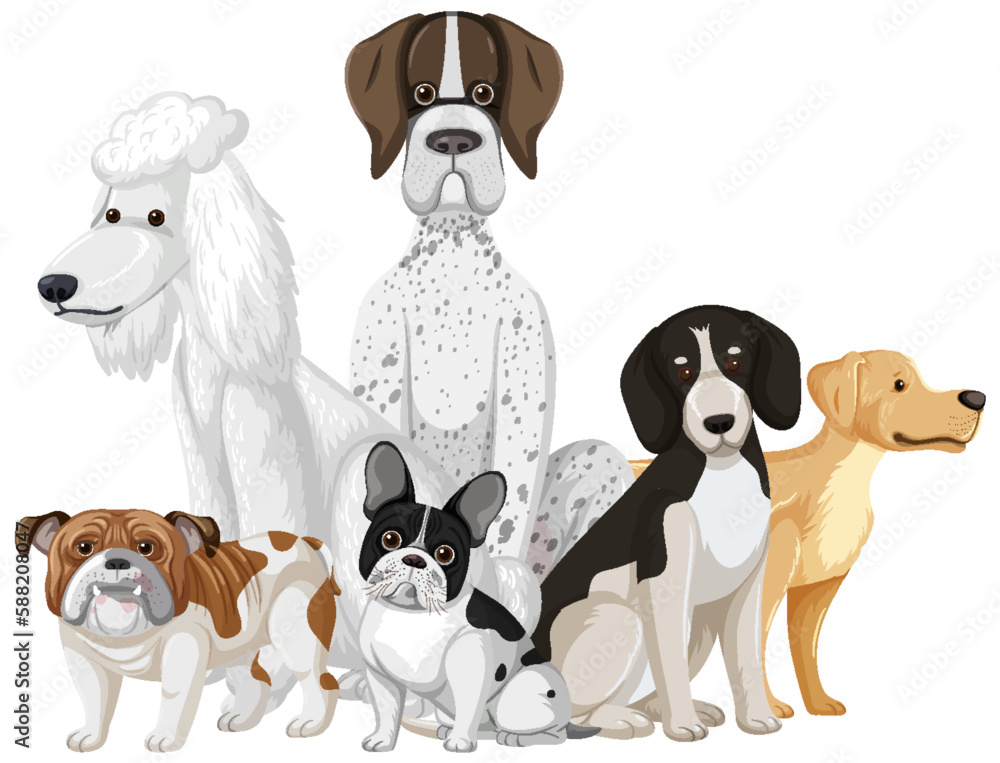 Set of dog dog breeds cartoon