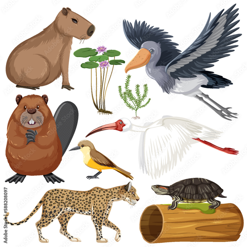 Various Wetland Animals Collection