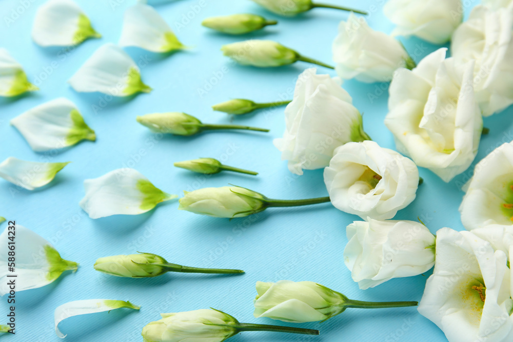 Composition with beautiful eustoma flowers and petals on color background, closeup