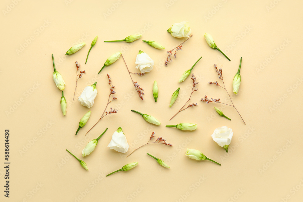 Composition with white eustoma and dried flowers on color background