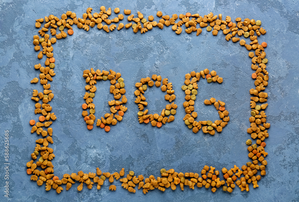 Composition with word DOG made of dry pet food on color background