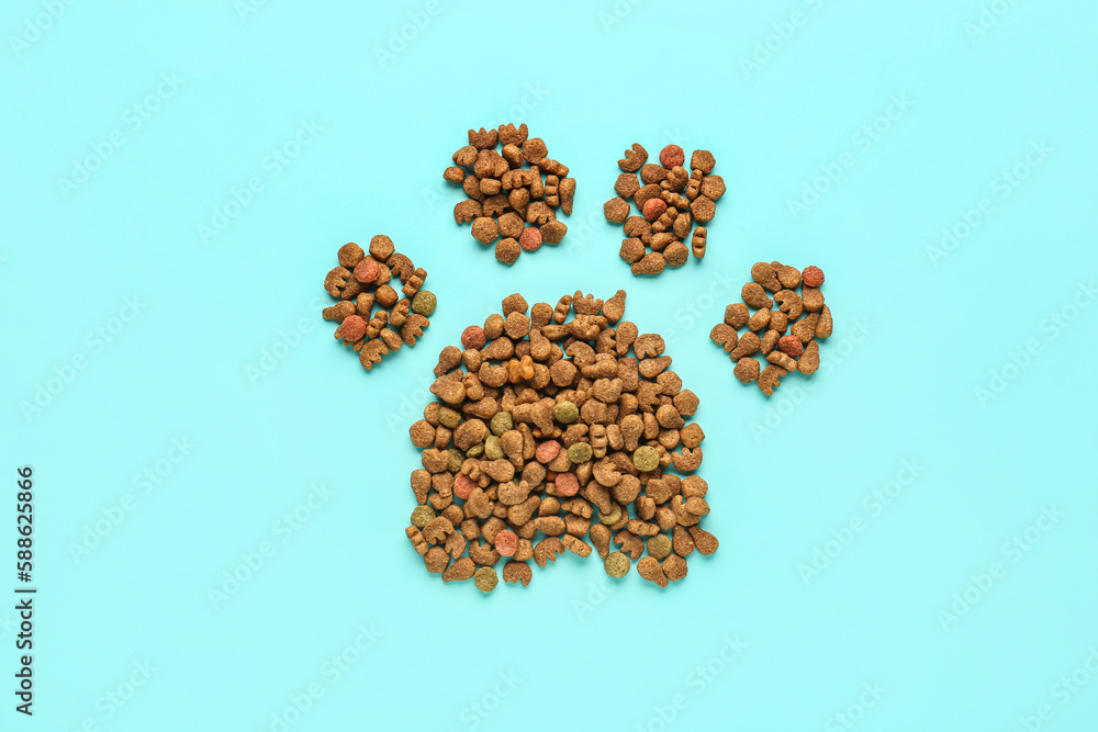 Pet paw made of dry food on color background