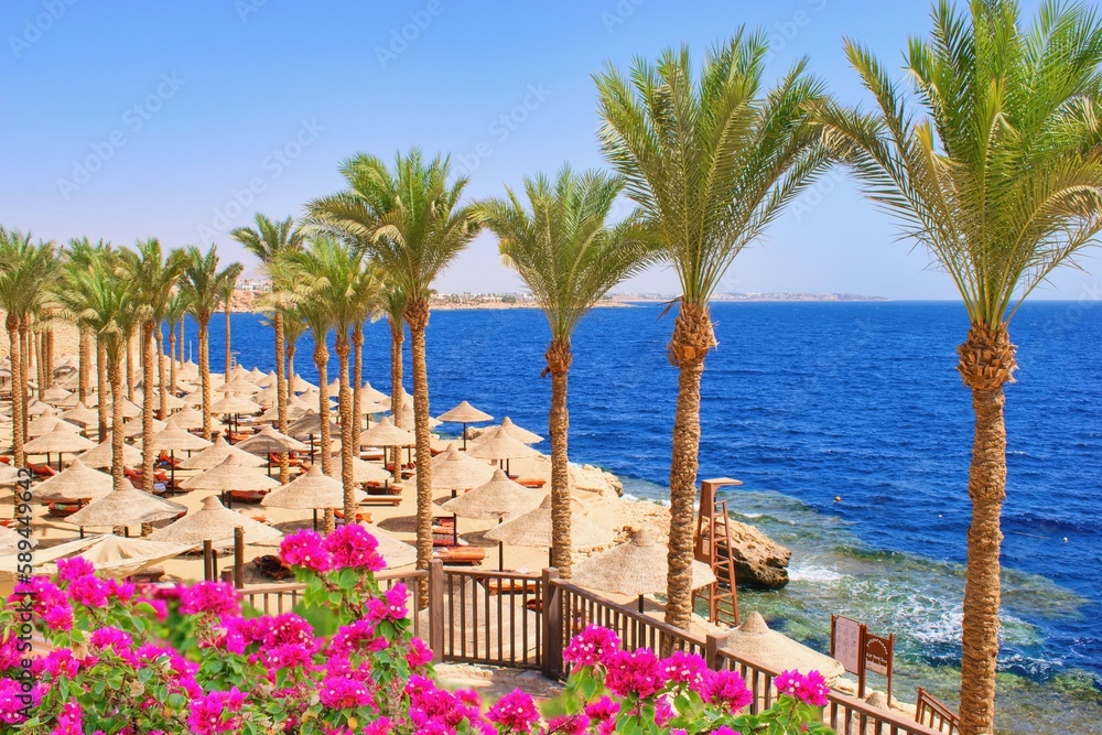 Idylic hotel beach with sun umbrelas, Red Sea, Egypt