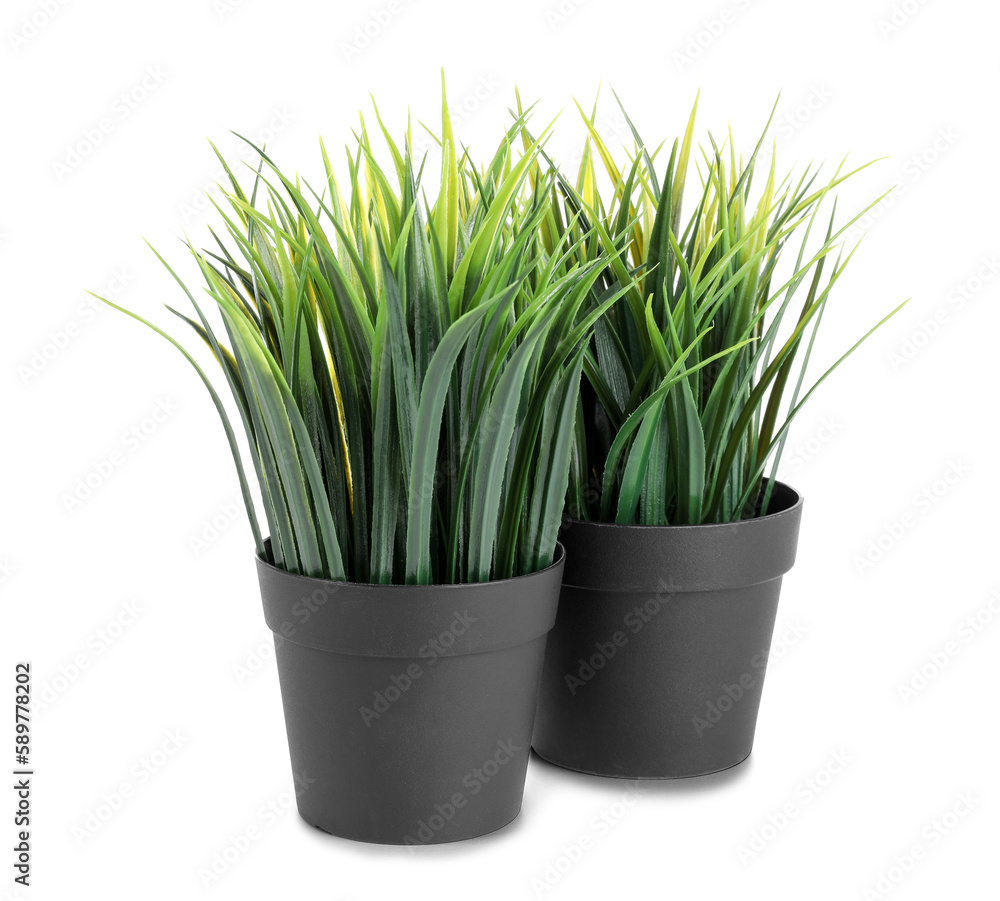 Artificial grass on white background