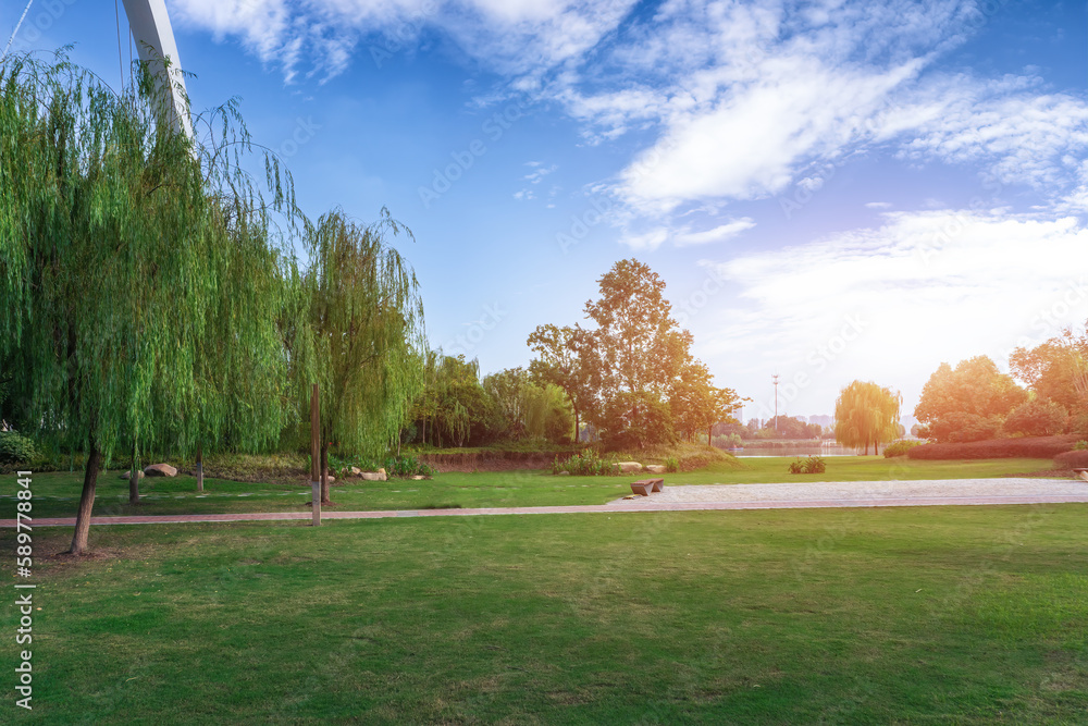 Beautiful meadow in the park