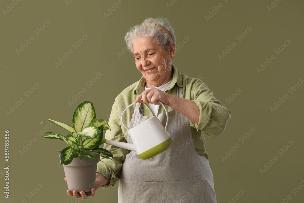 Senior gardener watering plant on green background