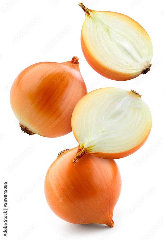 Onion bulbs isolated. Whole golden onion bulb and a half on white background. Falling onion. Full de