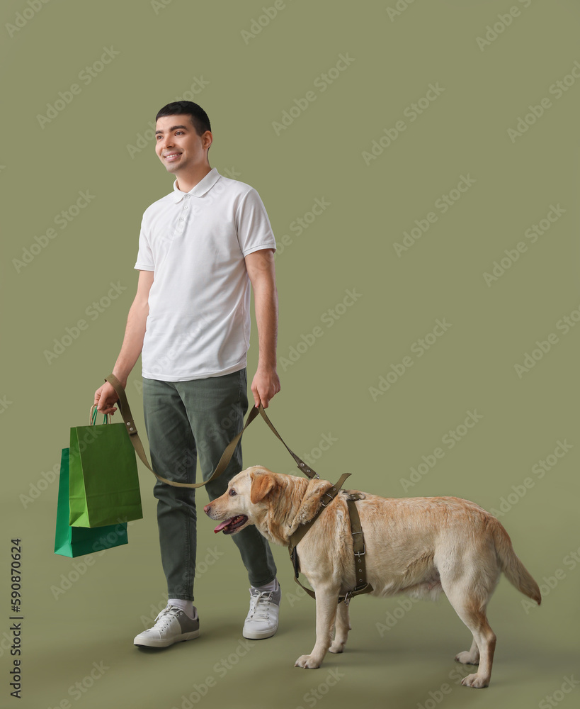 Young man with shopping bags and Labrador dog walking on green background