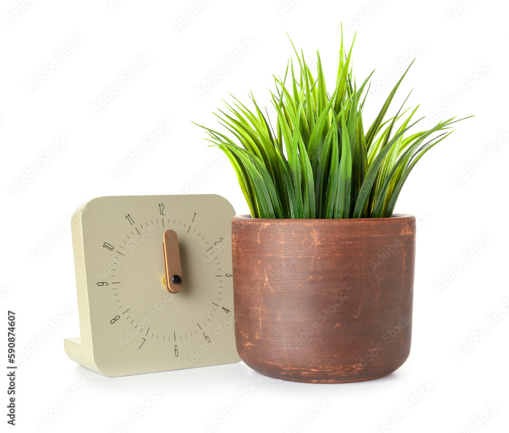 Artificial grass with clock on white background