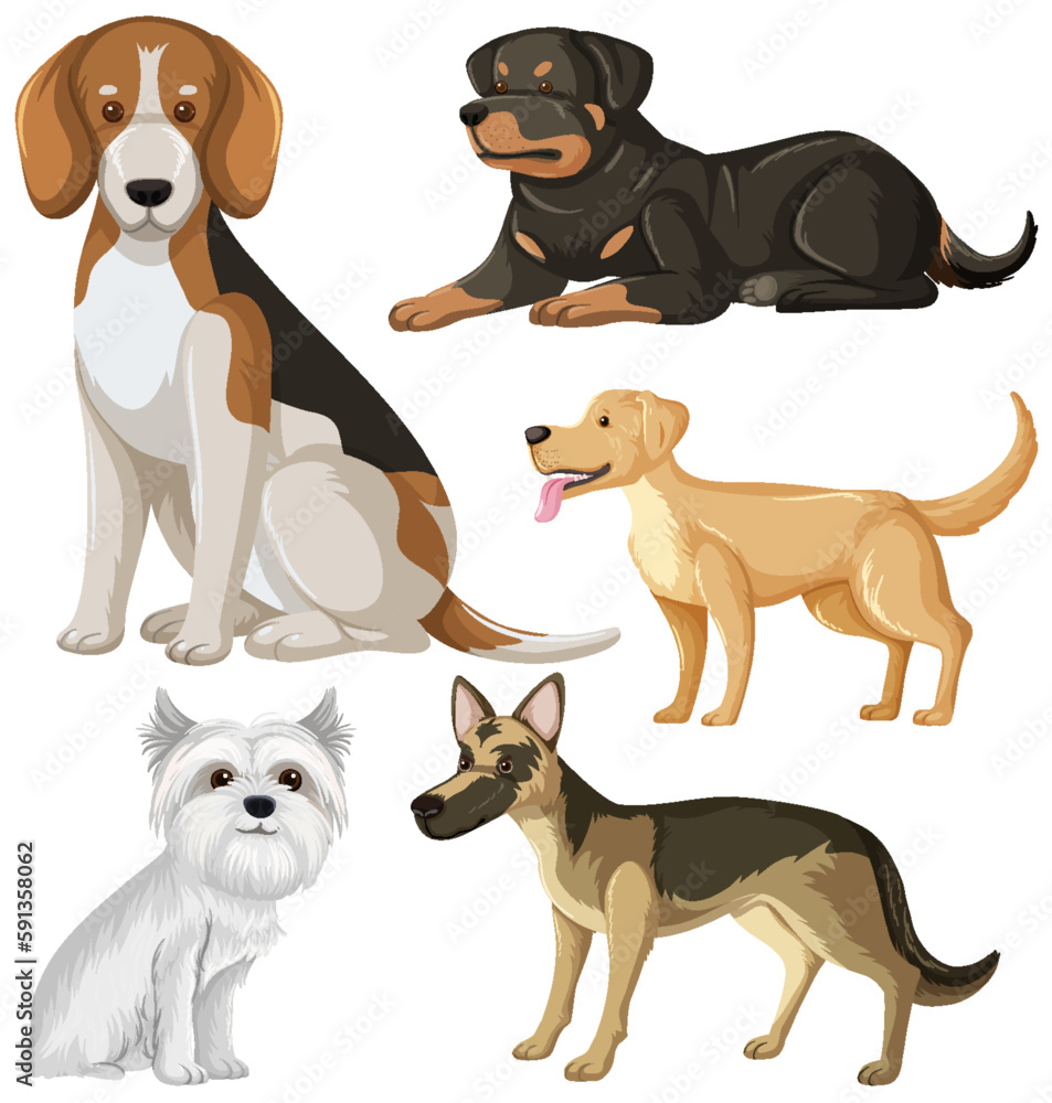 Set of dog dog breeds cartoon