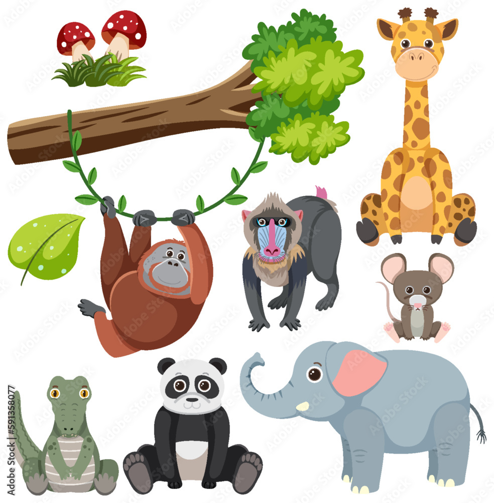 Wild Animals Cartoon Collection