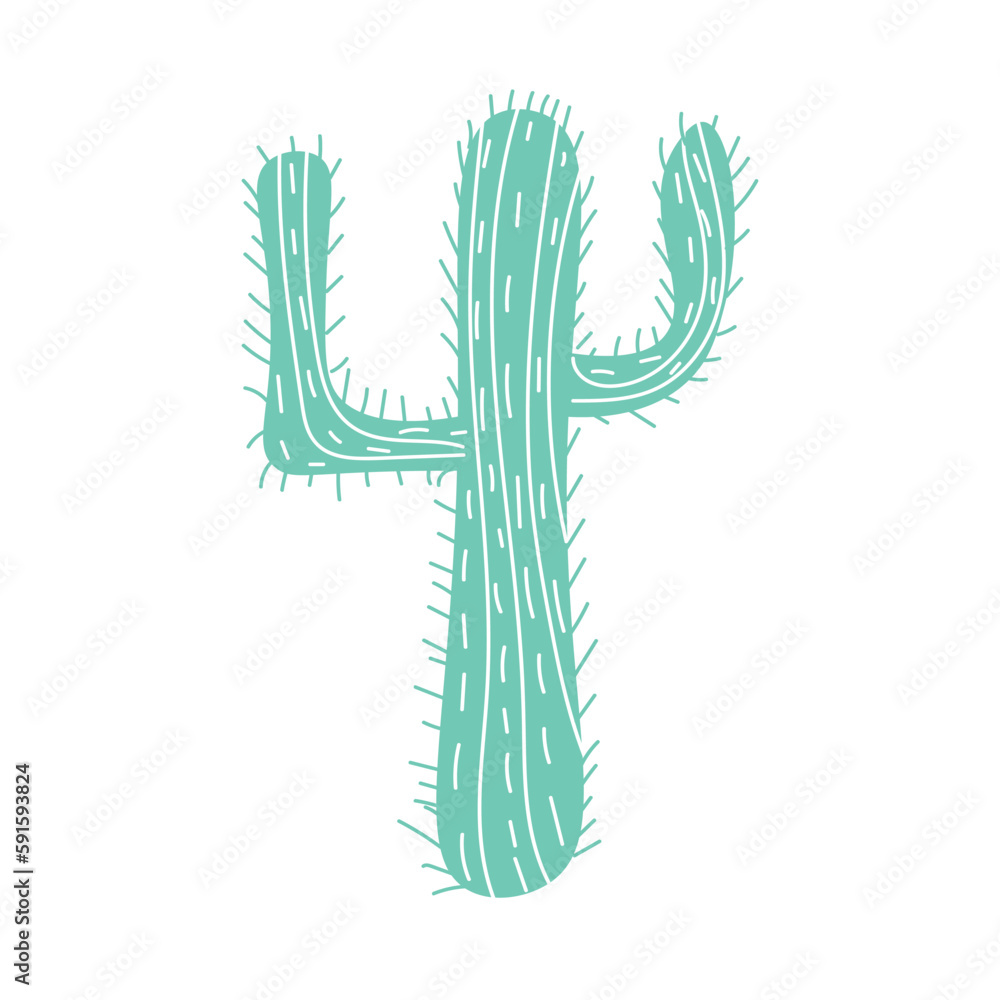 Green cactus on white background