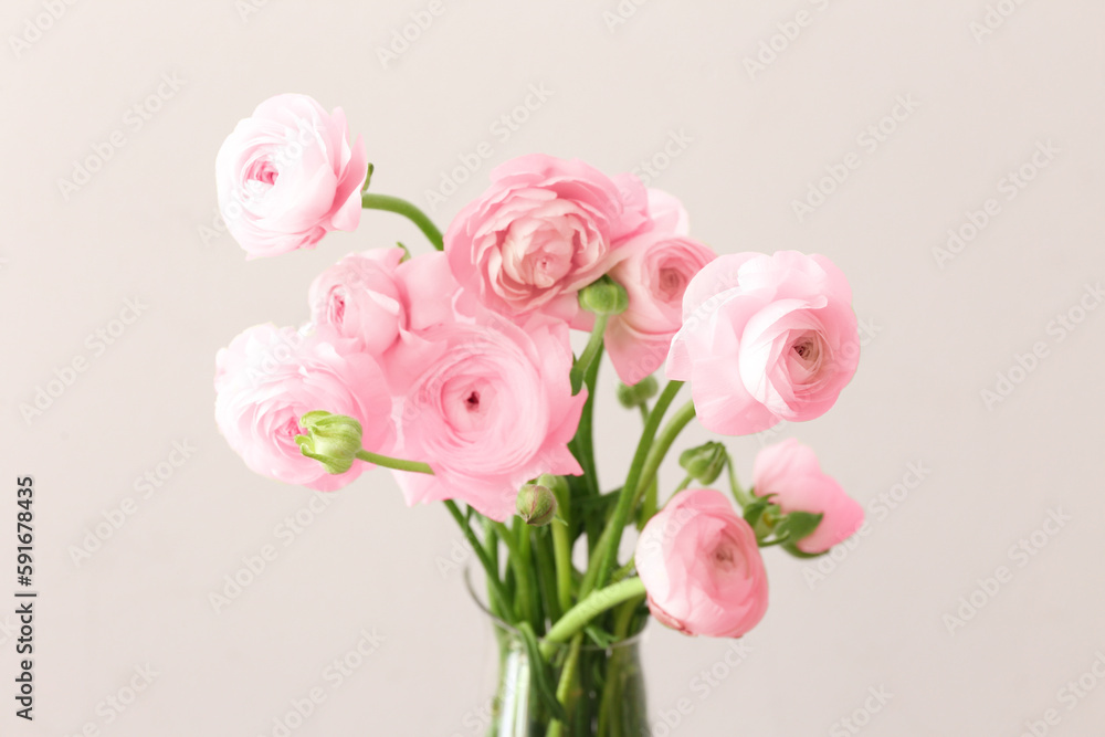 Vase with pink ranunculus flowers on light background