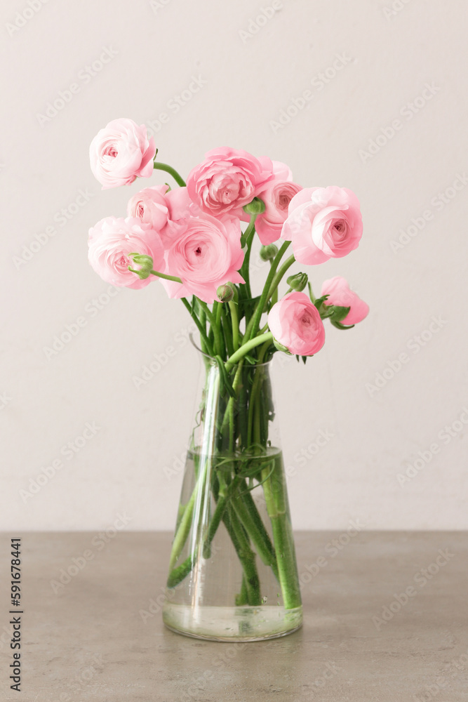 Vase with pink ranunculus flowers on table against light background