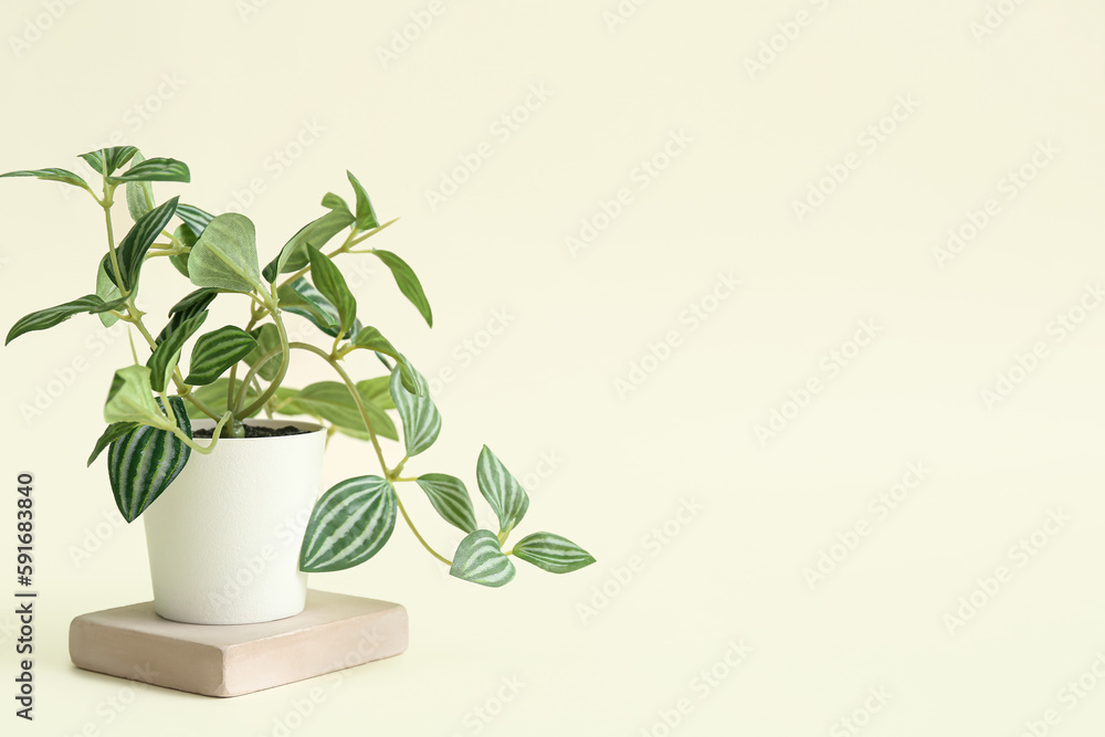 Artificial plant on light background