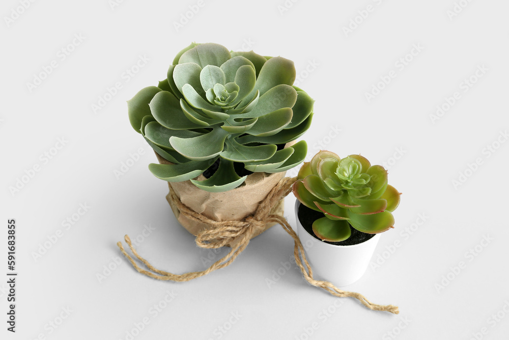 Artificial plants on light background