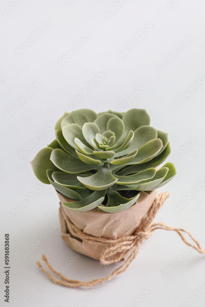 Artificial plant on light background