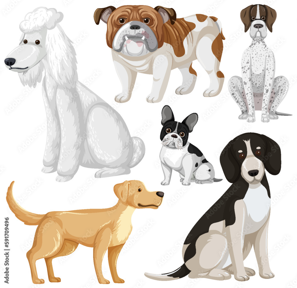 Set of dog dog breeds cartoon