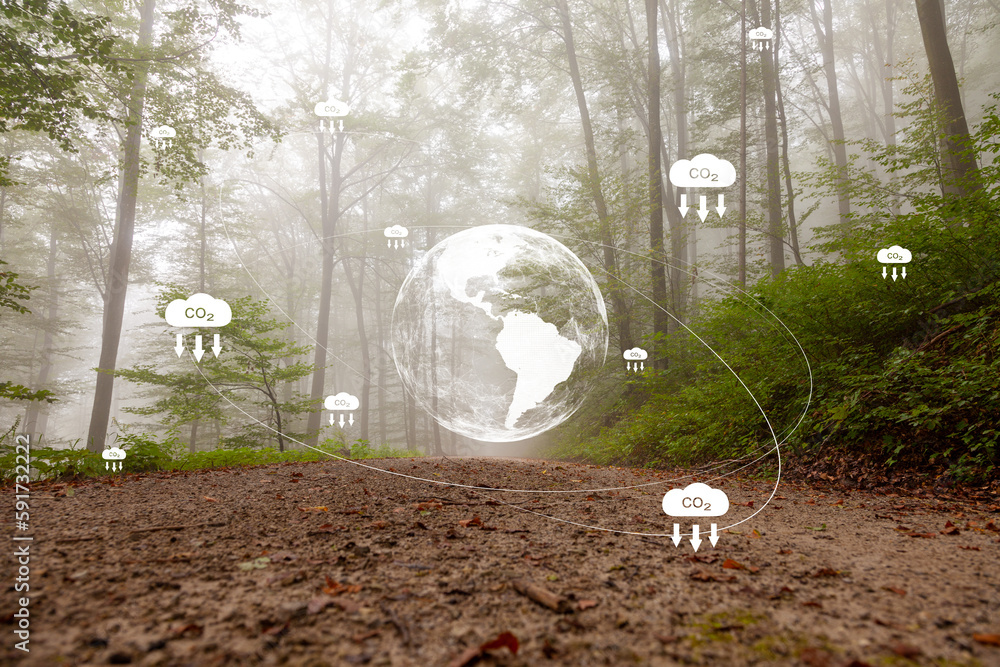 Carbon dioxide emmissions, ecology icons with earth planet on green foggy forest background.