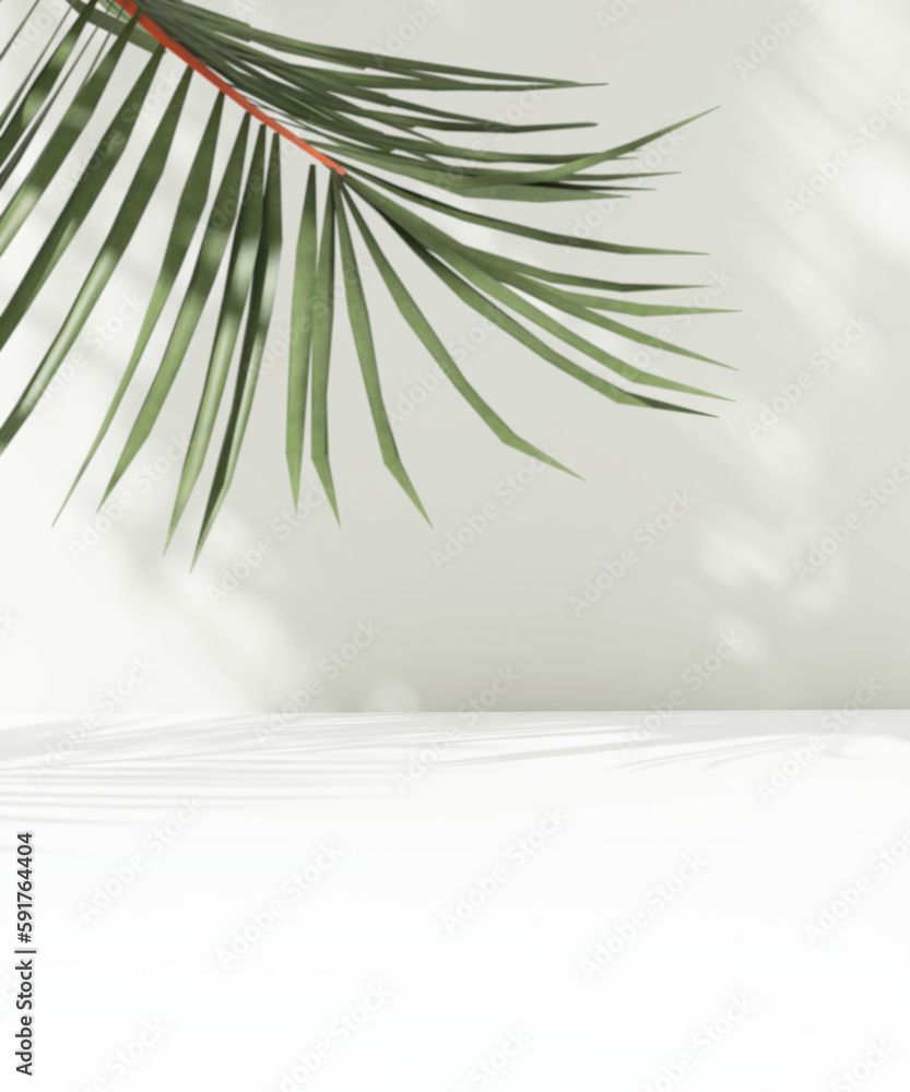 Minimal, modern white counter table, green tropical palm tree in sunlight, leaf shadow on countertop