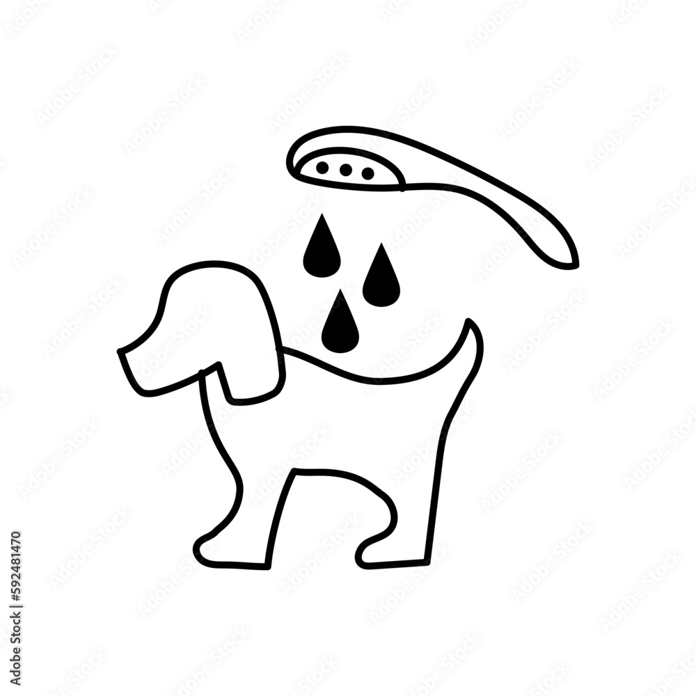 Washing of dog under shower on white background