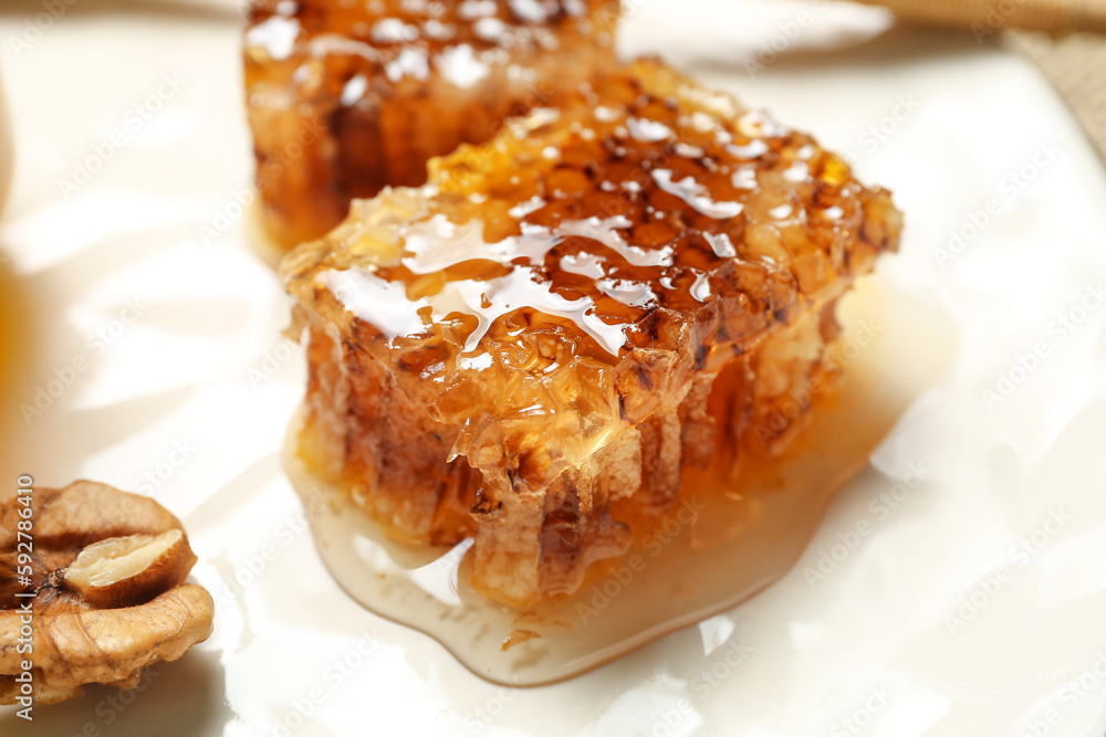 Sweet honey combs on plate, closeup