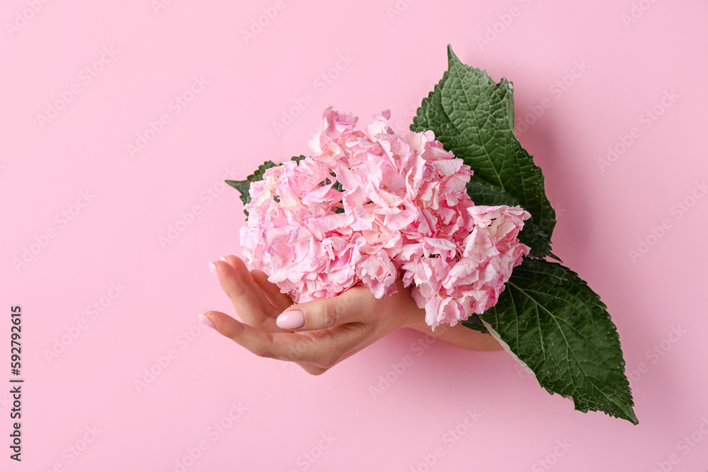 Female hand with flower visible through hole in pink paper