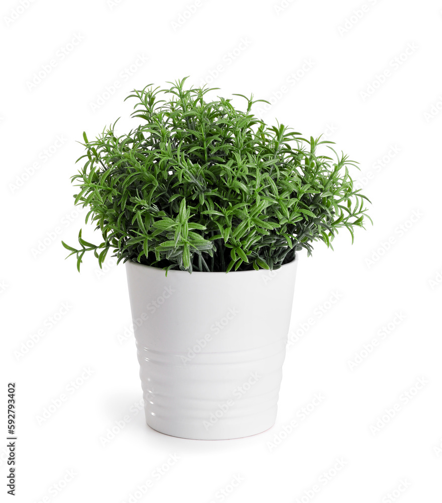 Artificial plant on white background