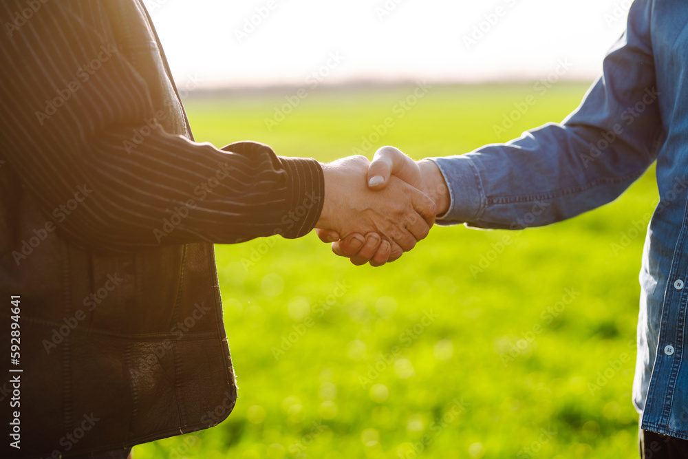 Negotiation. Two farmers agree by shaking hands in a green wheat field. The concept of agricultural 