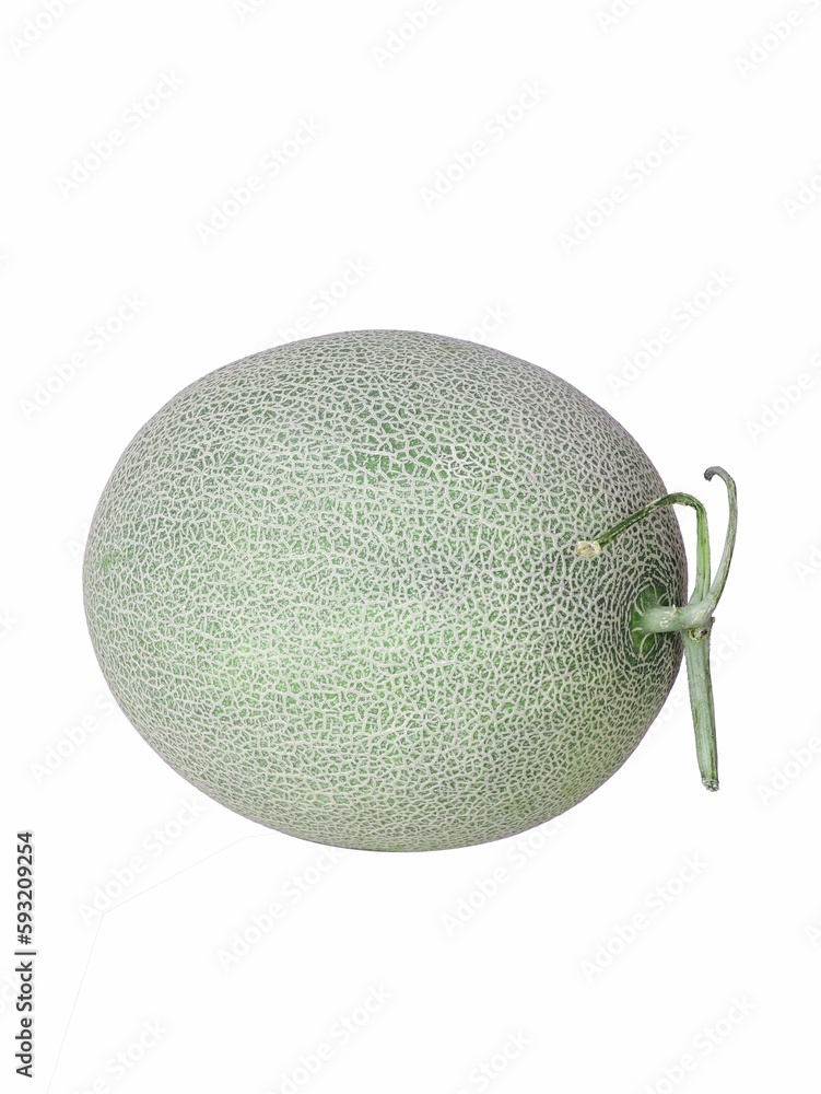 Fresh fruit cantaloupe isolated on white background