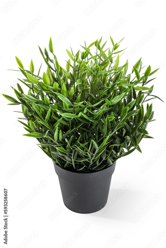 Artificial plant on white background