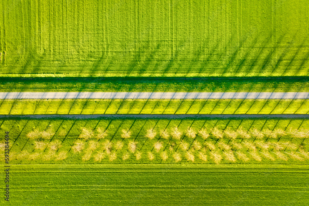 Aerial view of the field, trees and road. Landscape from a drone. Light and shadow. Natural backgrou