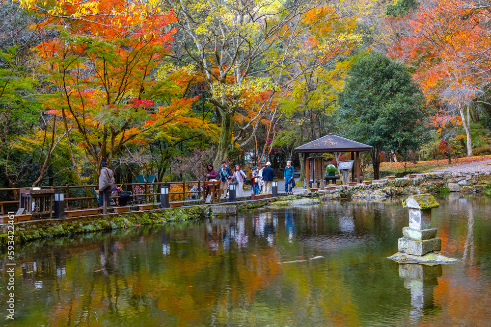 Miyazaki, Japan - Nov 24 2022: Takachiho Gorge is a narrow chasm cut through the rock by the Gokase 