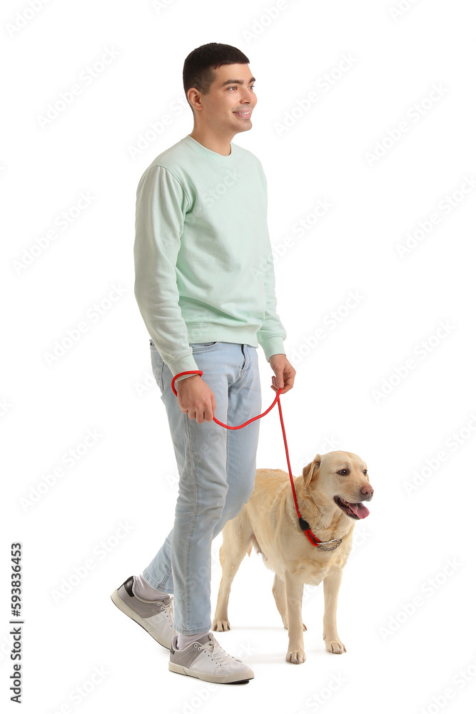 Young man with cute Labrador dog walking on white background