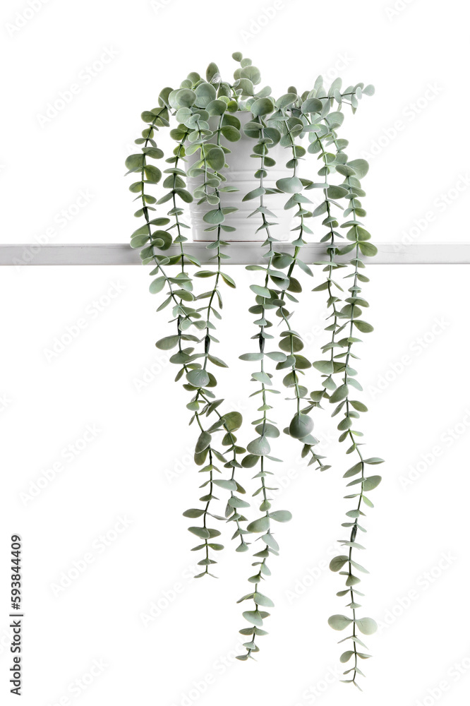 Artificial plant on white background