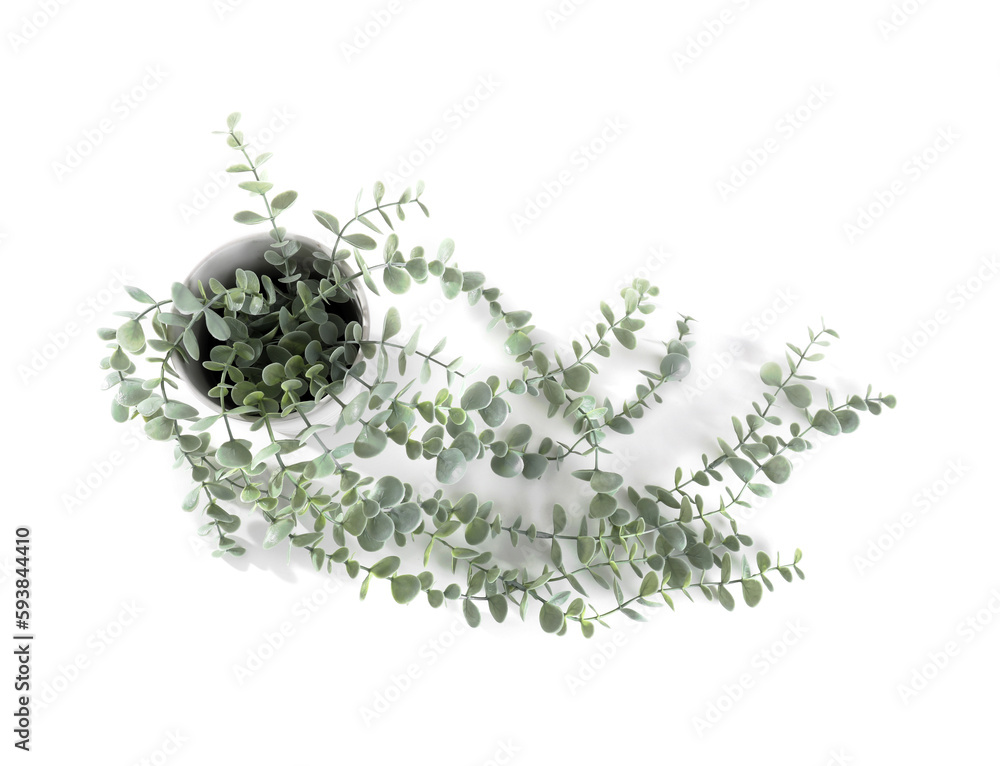 Artificial plant on white background