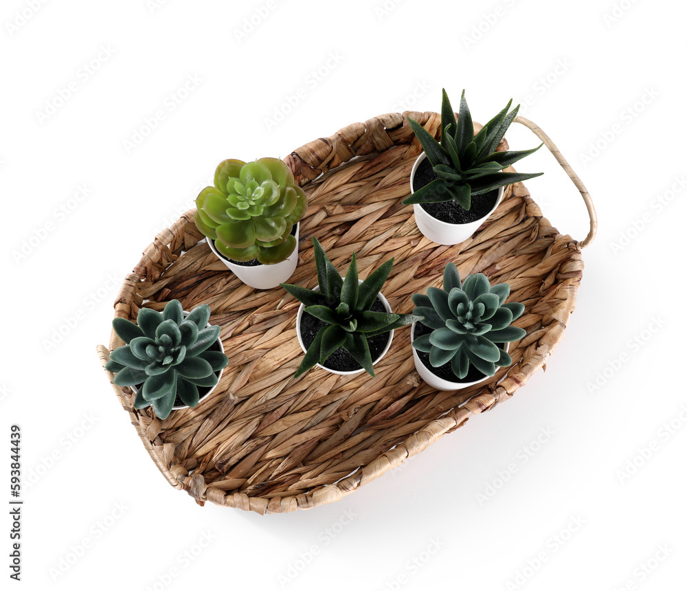 Tray with artificial succulents on white background