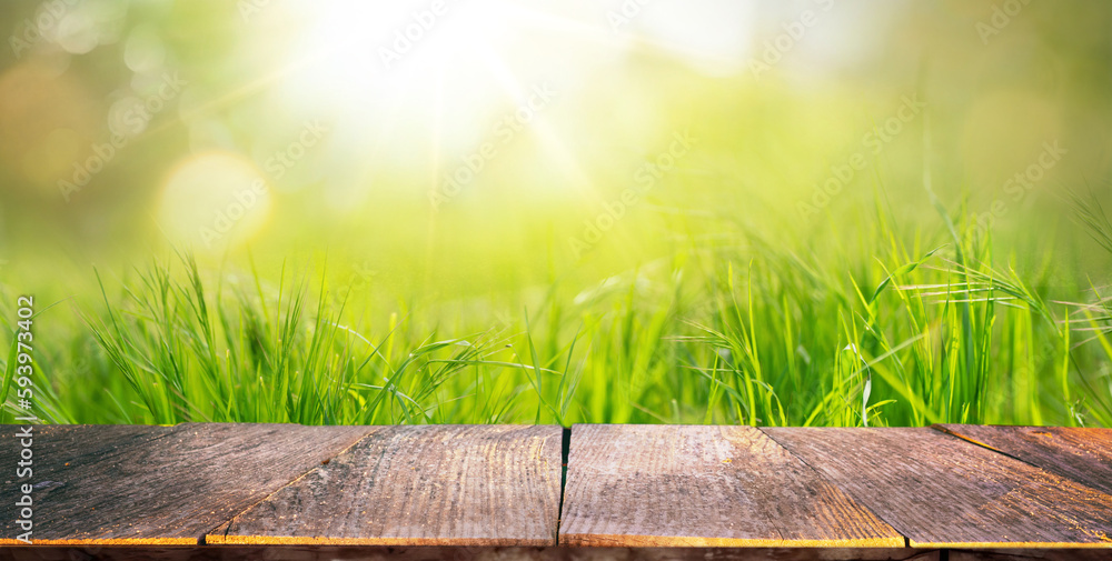 A beautiful natural background with flooring from old wooden boards and young green juicy grass in t