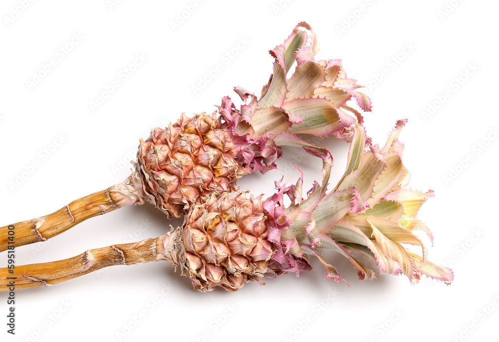 Decorative pineapples on white background, closeup