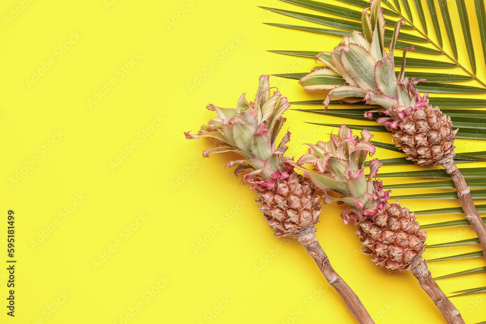 Decorative pineapples with palm leaf on yellow background