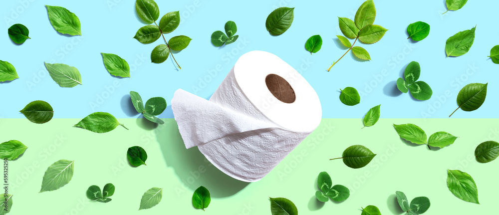 A roll of toilet paper with green leaves - flat lay