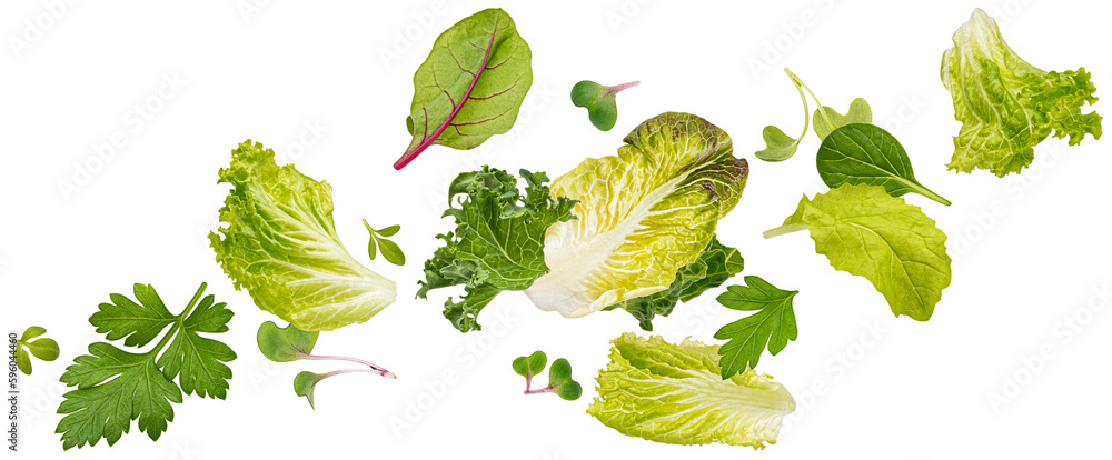 Falling salad leaves isolated on white background