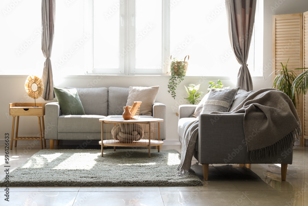 Interior of light living room with sofas, houseplants and table