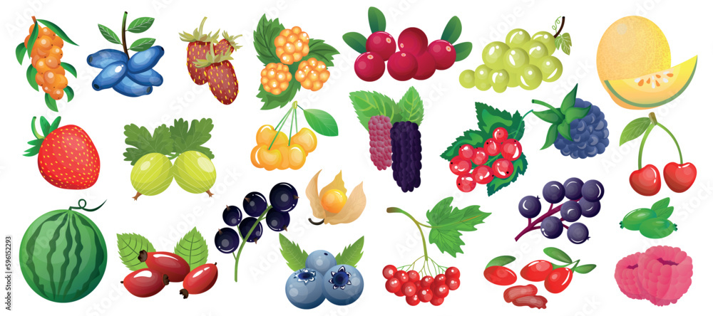 Collection of tasty fruits and berries on white background