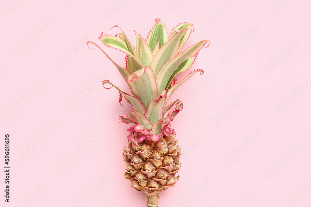 Decorative pineapple on pink background