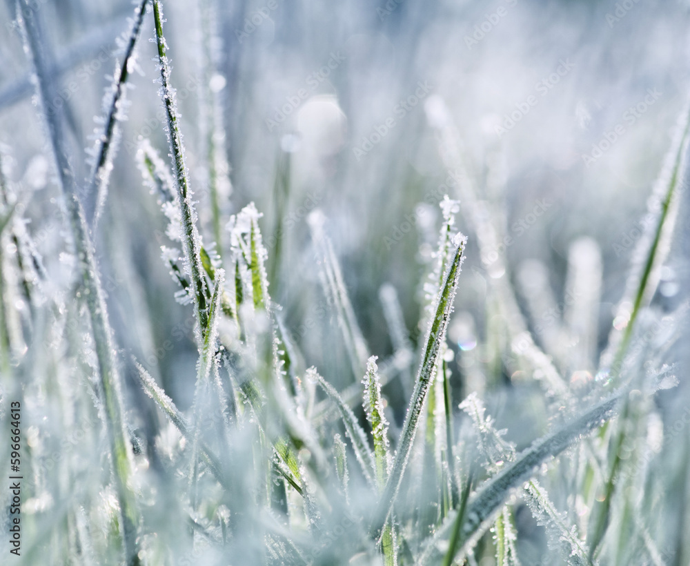 Close up frozen ice on grass