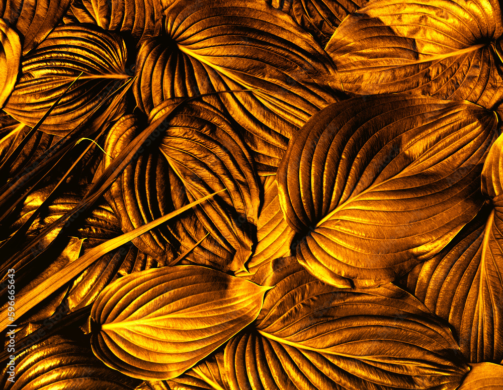 Abstract golden leaves texture