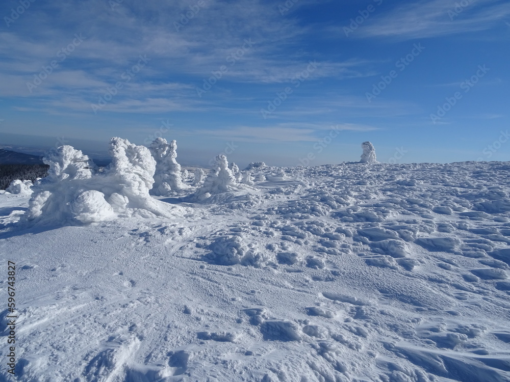 top of the mountain in winter